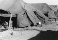 GP Tents