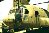 390th