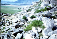 Phan Rang