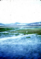 Ninh Hoa
