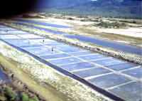 Ninh Hoa
