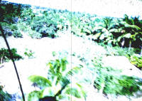 Ninh Hoa