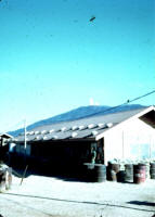 La casa Rhodes